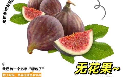 滑石粉的功效与作用及禁忌-【滑石粉归经的功效与作用禁忌】滑石粉的作用与功效和危害 - 滑石粉归经的功效与作用禁忌网