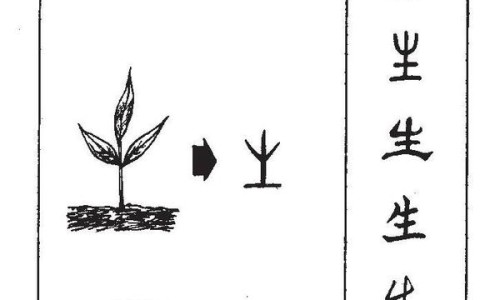 滑石粉的功效与作用及禁忌-【滑石粉归经的功效与作用禁忌】滑石粉的作用与功效和危害 - 滑石粉归经的功效与作用禁忌网